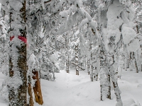 Parc national du Mont-Mégantic - Secteur de l'Observatoire